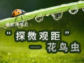 Ӱʦʼǣ̽΢۾ࡱ